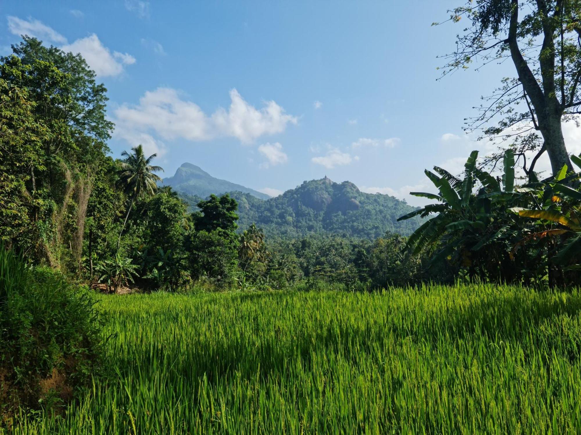 Silver Hill Ecovillage Kurunegala Ngoại thất bức ảnh