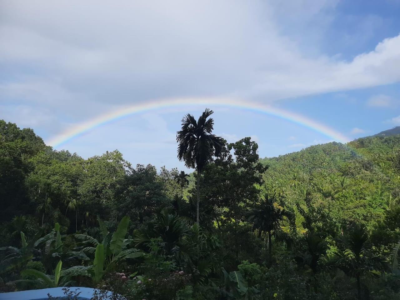 Silver Hill Ecovillage Kurunegala Ngoại thất bức ảnh