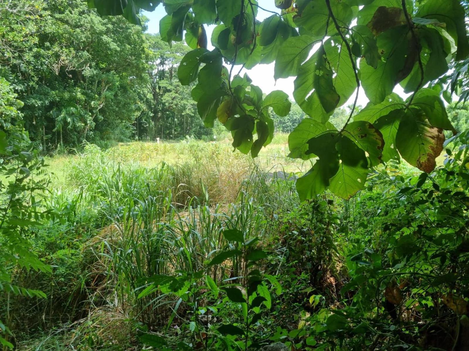 Silver Hill Ecovillage Kurunegala Ngoại thất bức ảnh