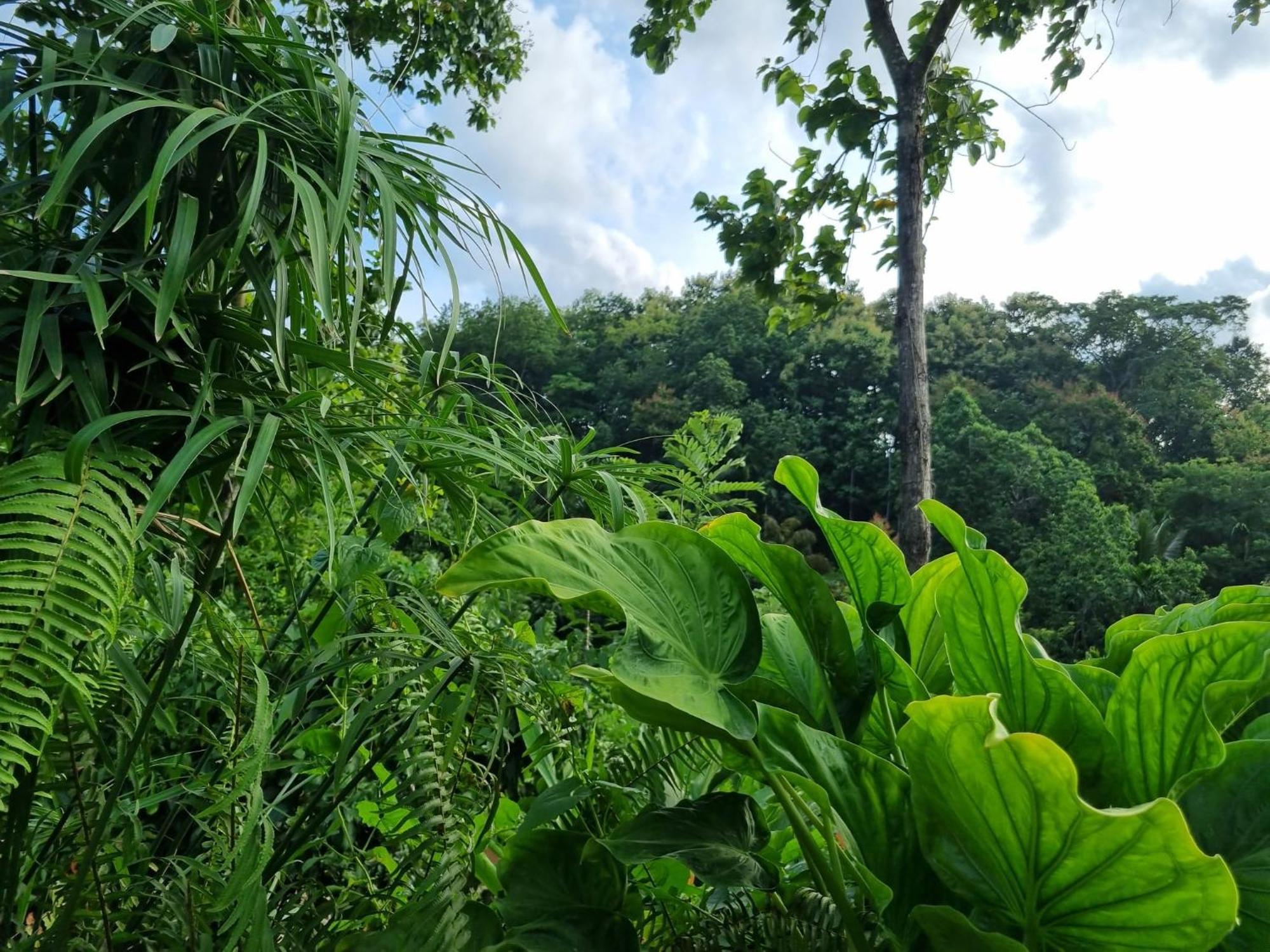 Silver Hill Ecovillage Kurunegala Ngoại thất bức ảnh