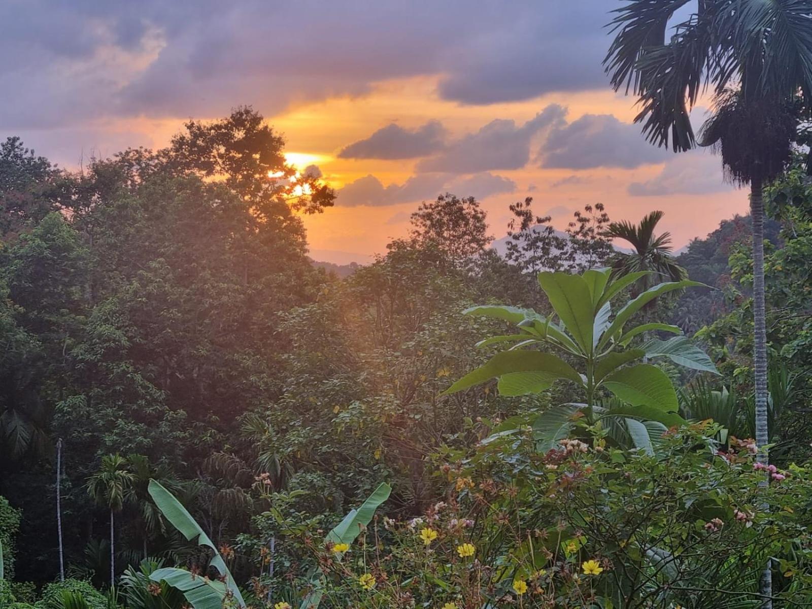 Silver Hill Ecovillage Kurunegala Ngoại thất bức ảnh