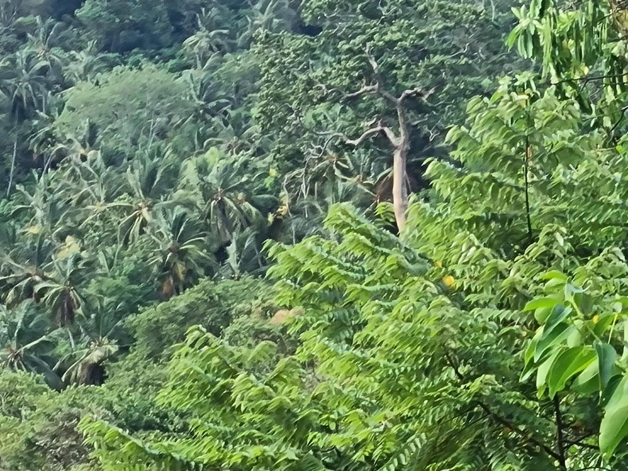 Silver Hill Ecovillage Kurunegala Ngoại thất bức ảnh