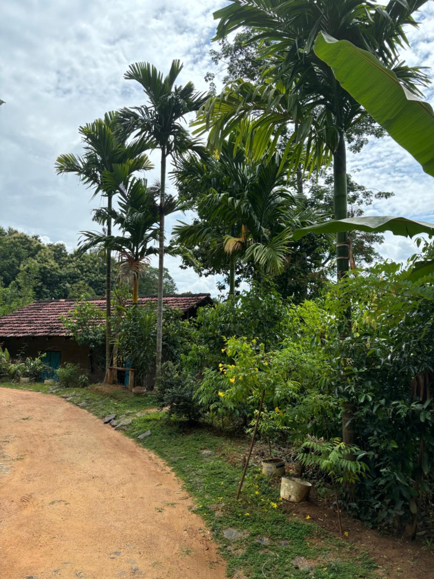 Silver Hill Ecovillage Kurunegala Ngoại thất bức ảnh